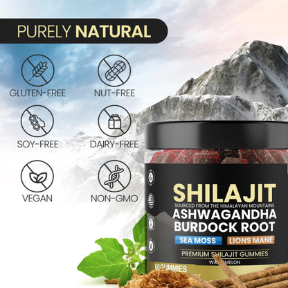 Shilajit 5 in 1 Gummies