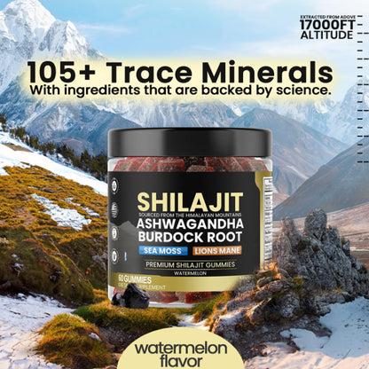 Shilajit 5 in 1 Gummies