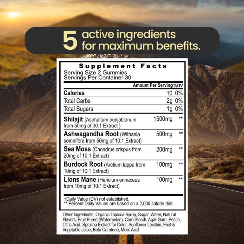 Shilajit 5 in 1 Gummies